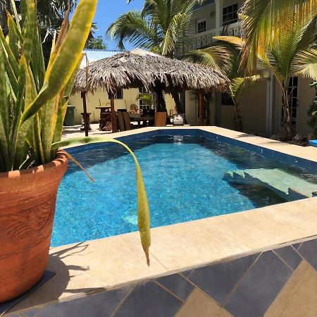 My Own Paradise Resort Bonaire คราเลนไดค์ ภายนอก รูปภาพ